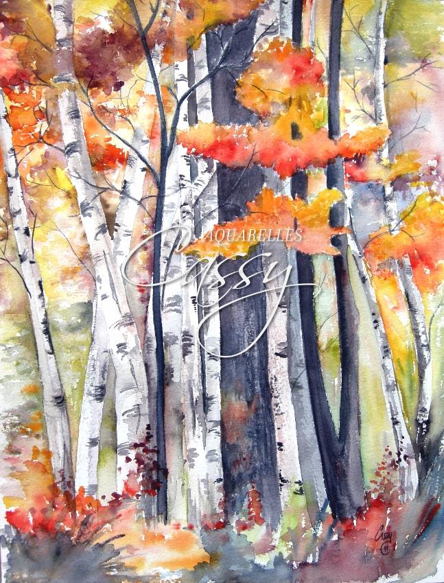 Bouleaux en automne 41 cm X 31 cm